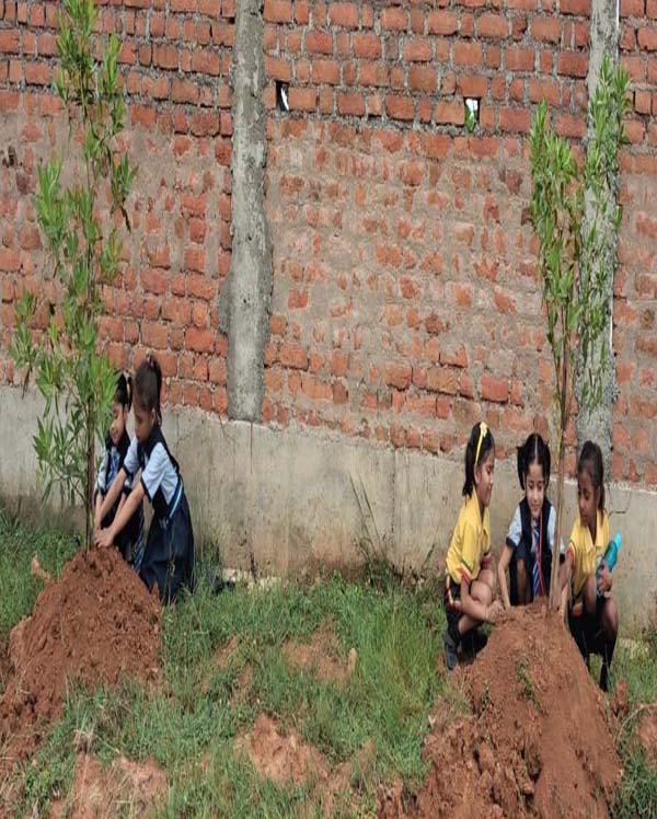 PLANTATION