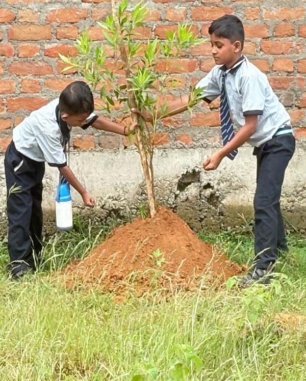 Plantation