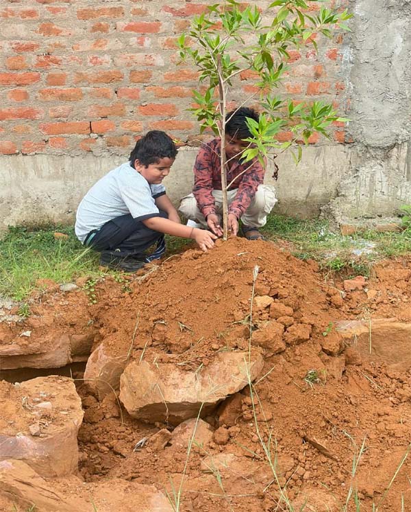 Plantation